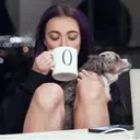 Stika