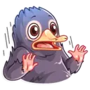 Stiker