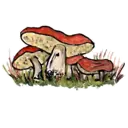 Samolepka