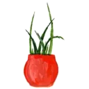 Samolepka