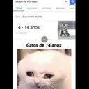 Figurinha