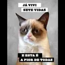 Figurinha