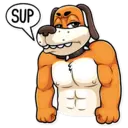 sticker