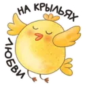 Stiker