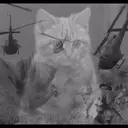 מדבקה