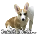 Stiker