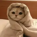 स्टिकर