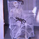 Կպչուն պիտակ