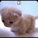 Figurinha