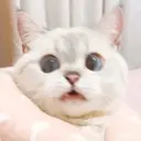 Çıkartma