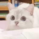 Çıkartma