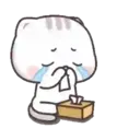 ස්ටිකර්