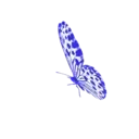 ස්ටිකර්