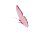 ස්ටිකර්