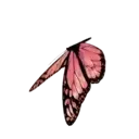 ස්ටිකර්