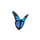 ස්ටිකර්