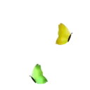 ස්ටිකර්