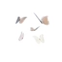 ස්ටිකර්