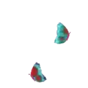 ස්ටිකර්