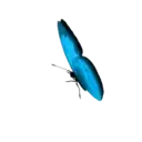 ස්ටිකර්