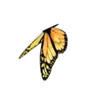 ස්ටිකර්