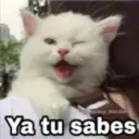 스티커