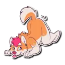 Stiker