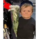 ස්ටිකර්