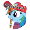 sticker