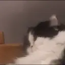 ملصق