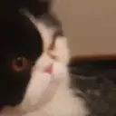 ملصق