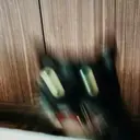贴纸