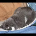 贴纸