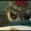 贴纸