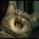贴纸