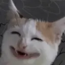 贴纸