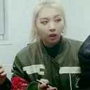 贴纸