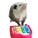 Límmiði