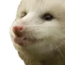 Límmiði