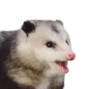 Límmiði