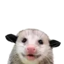 Límmiði
