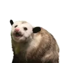 Límmiði