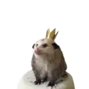 Límmiði