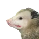 Límmiði