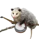 Límmiði