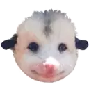 Límmiði