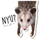 Límmiði