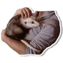 Límmiði