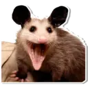 Límmiði