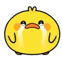 స్టికర్